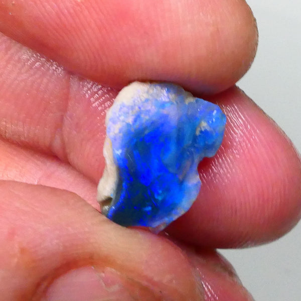 Lightning Ridge Faced black knobby opal rub/rough 4.20cts Gorgeous Bright Royal blues ready to shape & Polish a Gem 15x11x6mm  Lot B4-A718