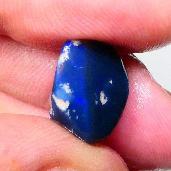 Blue on Black Knobby opal rub/rough 8.70cts Lightning Ridge Blues some work then polish 16x12x8mm Lot B4-A716