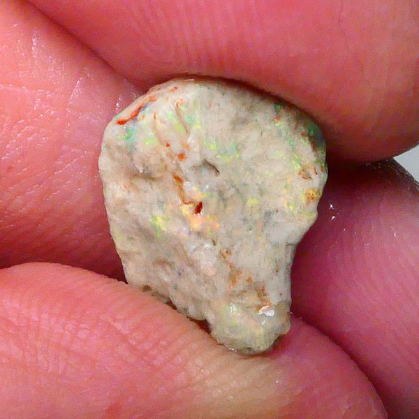 Bright Orange/Yellow/Green Dominant Multifires 4.20cts Knobby/Fossil opal formation rough 15x11x6   Lot B4-A714