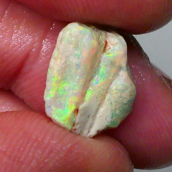 Bright Orange/Yellow/Green Dominant Multifires 4.20cts Knobby/Fossil opal formation rough 15x11x6   Lot B4-A714