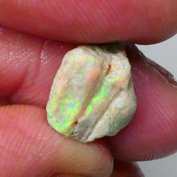 Bright Orange/Yellow/Green Dominant Multifires 4.20cts Knobby/Fossil opal formation rough 15x11x6   Lot B4-A714