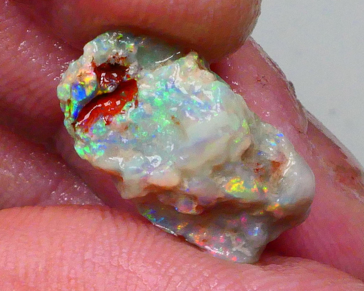 Reds &  Bling Multicolours with High Brightness & Vibrancy 5.30cts Untouched Knobby opal rough of Lighting Ridge 18x10x6mm   Lot B4-A697