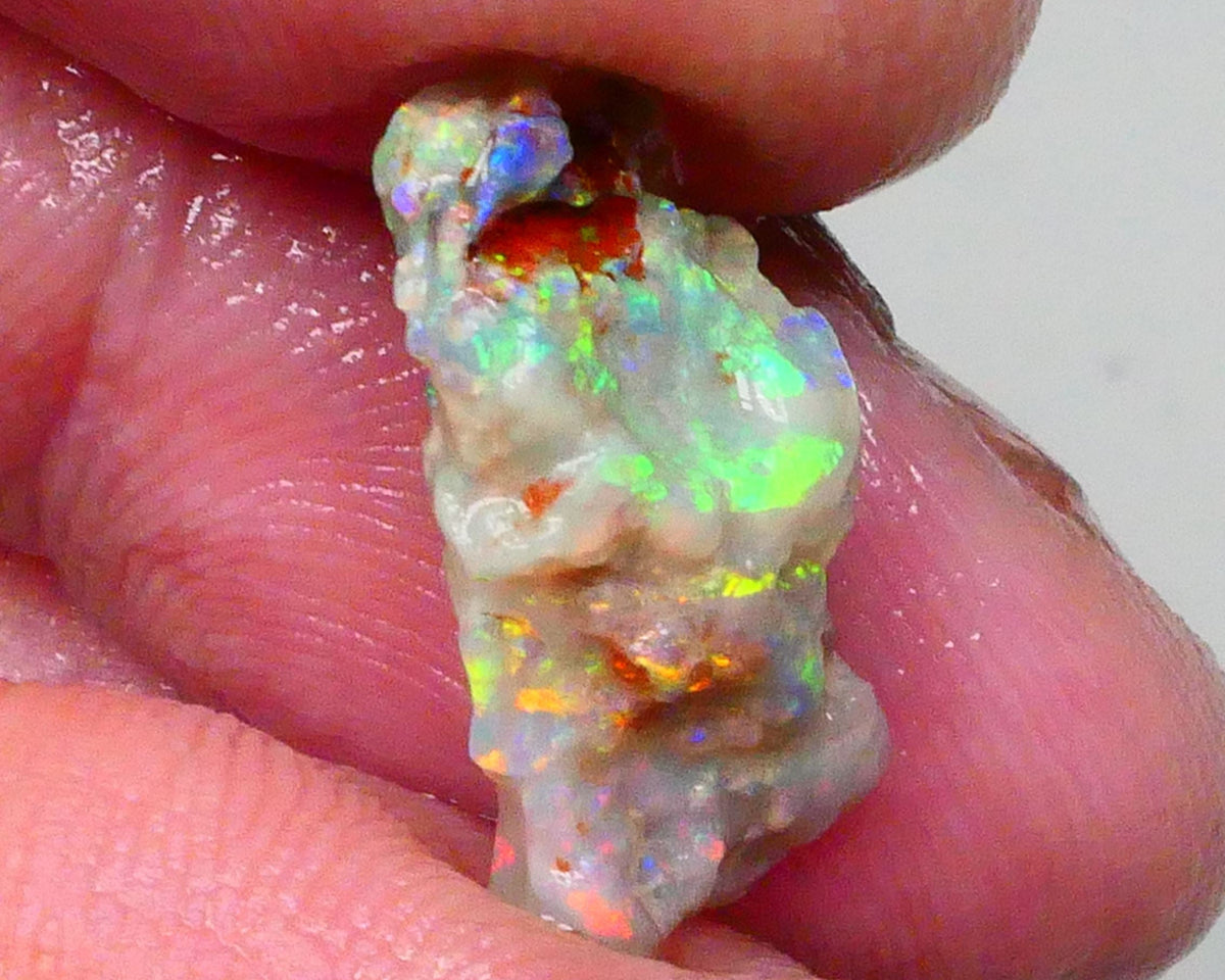 Reds &  Bling Multicolours with High Brightness & Vibrancy 5.30cts Untouched Knobby opal rough of Lighting Ridge 18x10x6mm   Lot B4-A697