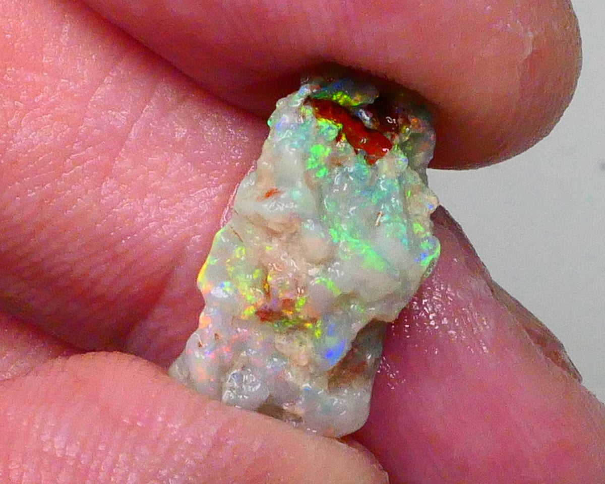 Reds &  Bling Multicolours with High Brightness & Vibrancy 5.30cts Untouched Knobby opal rough of Lighting Ridge 18x10x6mm   Lot B4-A697