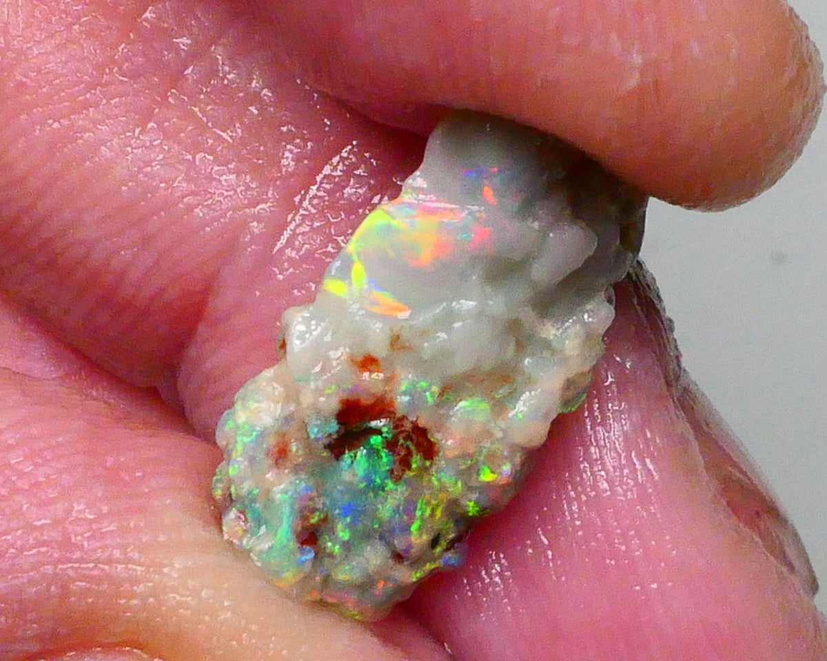 Reds &  Bling Multicolours with High Brightness & Vibrancy 5.30cts Untouched Knobby opal rough of Lighting Ridge 18x10x6mm   Lot B4-A697