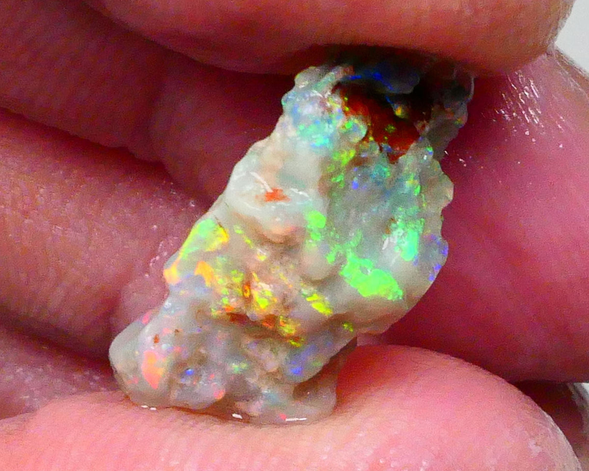 Reds &  Bling Multicolours with High Brightness & Vibrancy 5.30cts Untouched Knobby opal rough of Lighting Ridge 18x10x6mm   Lot B4-A697