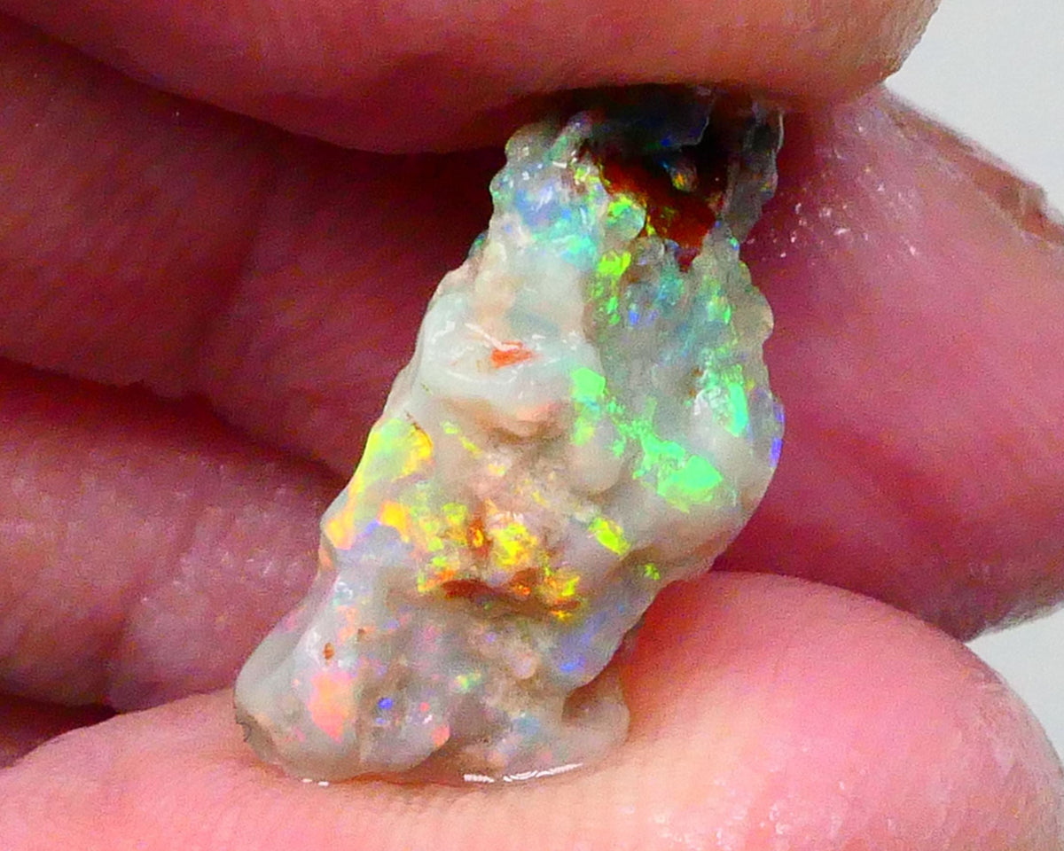 Reds &  Bling Multicolours with High Brightness & Vibrancy 5.30cts Untouched Knobby opal rough of Lighting Ridge 18x10x6mm   Lot B4-A697
