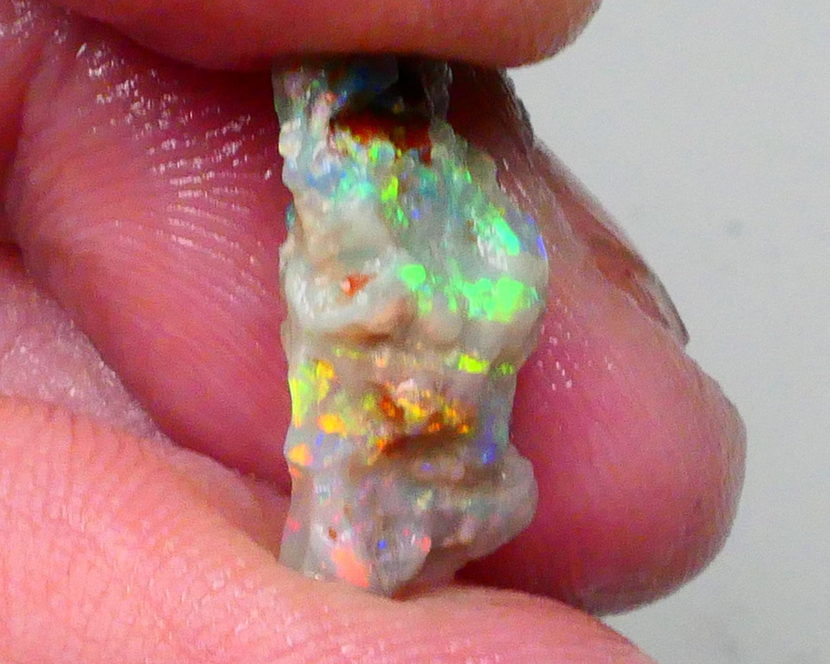 Reds &  Bling Multicolours with High Brightness & Vibrancy 5.30cts Untouched Knobby opal rough of Lighting Ridge 18x10x6mm   Lot B4-A697