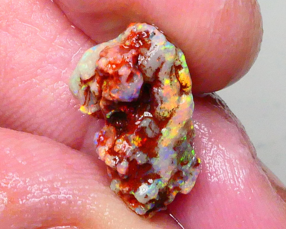 Bid-4.com Bid for Australian opal £1 No Reserve Auctions Details to come Lot B4-A693