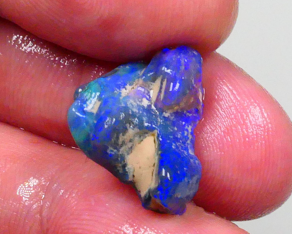 Black Crystal Knobby opal rough 9.25cts Skin 2 skin loaded with Bright Royal Blue fires 18x14x10mm Carve or cut your call   Lot B4-A731