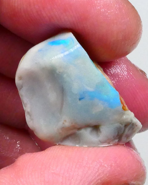 Bid-4.com Bid for Australian opal £1 No Reserve Auctions Details to come Lot B4-A730