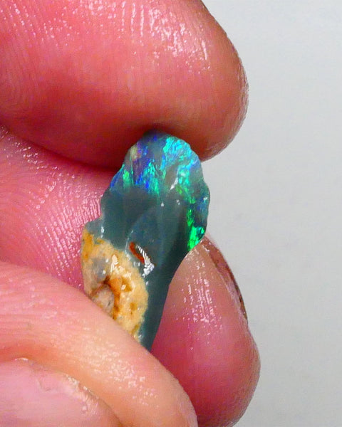 Bid-4.com Bid for Australian opal £1 No Reserve Auctions Details to come Lot B4-A726