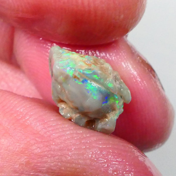 Bright Green blue dominant Multifires here 4.50cts Lightning ridge Pea knobby opal rough to cut & gamble 13x12x9mm  Lot B4-A750
