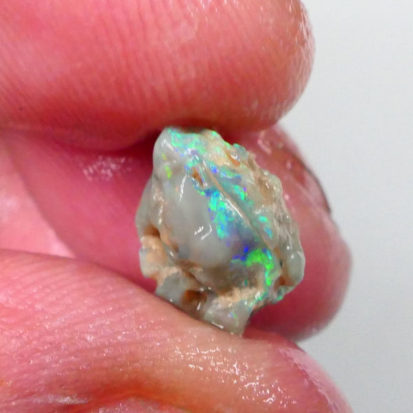 Bright Green blue dominant Multifires here 4.50cts Lightning ridge Pea knobby opal rough to cut & gamble 13x12x9mm  Lot B4-A750
