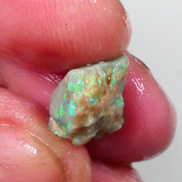 Bright Green blue dominant Multifires here 4.50cts Lightning ridge Pea knobby opal rough to cut & gamble 13x12x9mm  Lot B4-A750