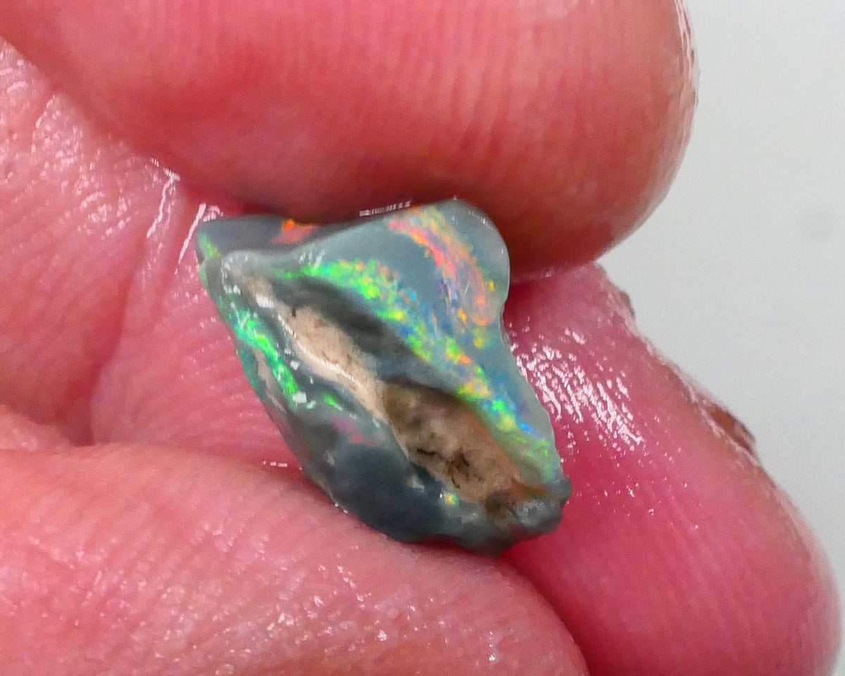 Multicolour Knobby opal rough 2.75cts Loaded with Green/Orange dominant fires 13x8x6mm  Lot B4-A747