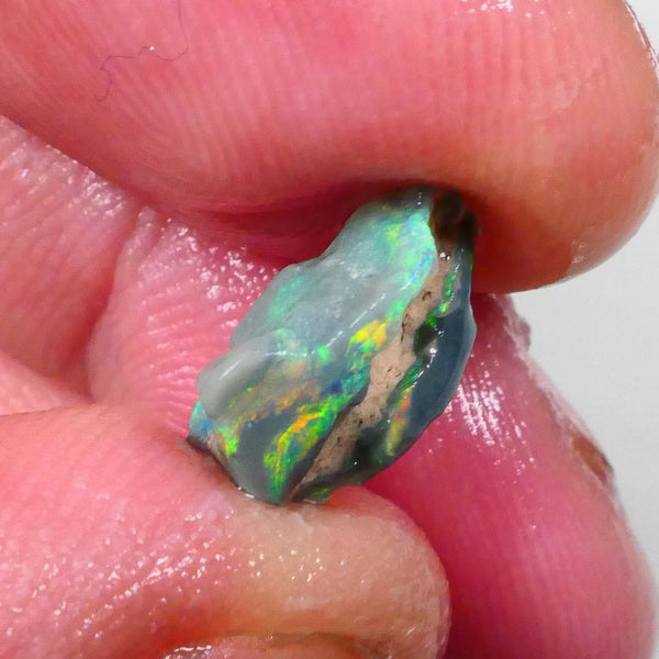 Multicolour Knobby opal rough 2.75cts Loaded with Green/Orange dominant fires 13x8x6mm  Lot B4-A747