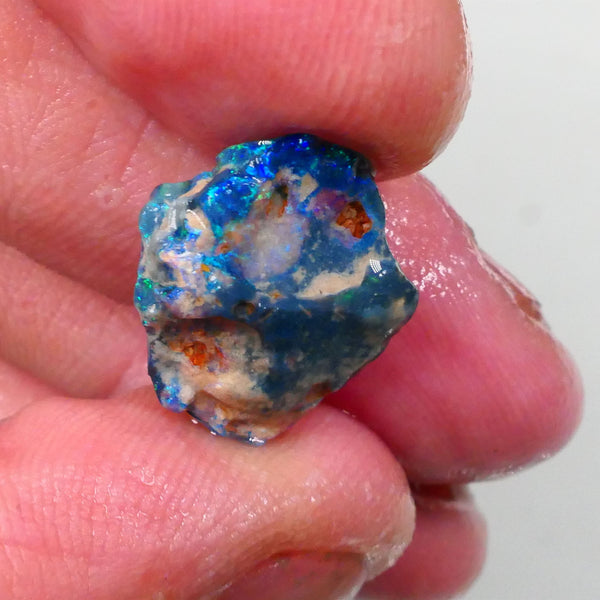 Untouched Blue/Green Dark base knobby opal rough 6.00cts Lightning Ridge Material to gamble 18x14x6 Lot B4-A746