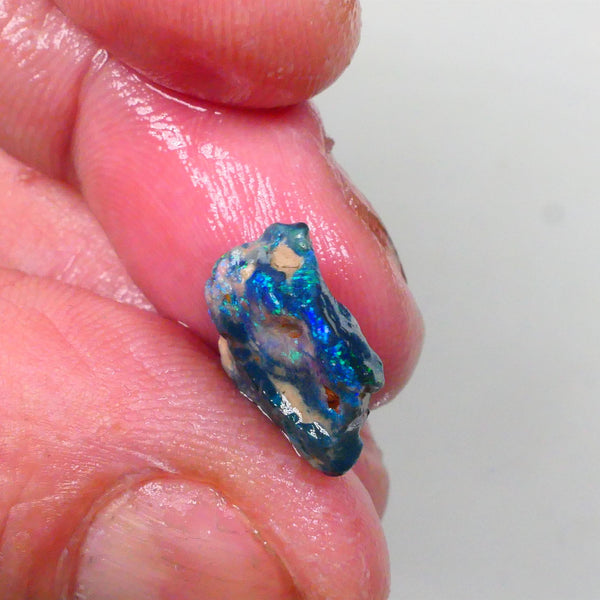 Untouched Blue/Green Dark base knobby opal rough 6.00cts Lightning Ridge Material to gamble 18x14x6 Lot B4-A746