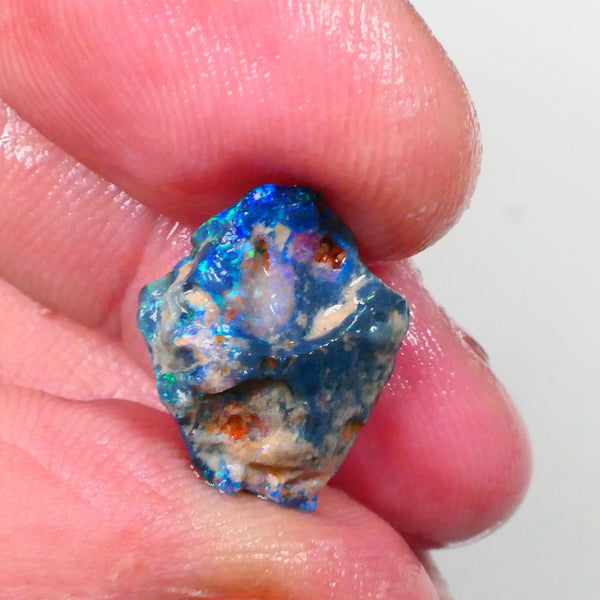 Untouched Blue/Green Dark base knobby opal rough 6.00cts Lightning Ridge Material to gamble 18x14x6 Lot B4-A746