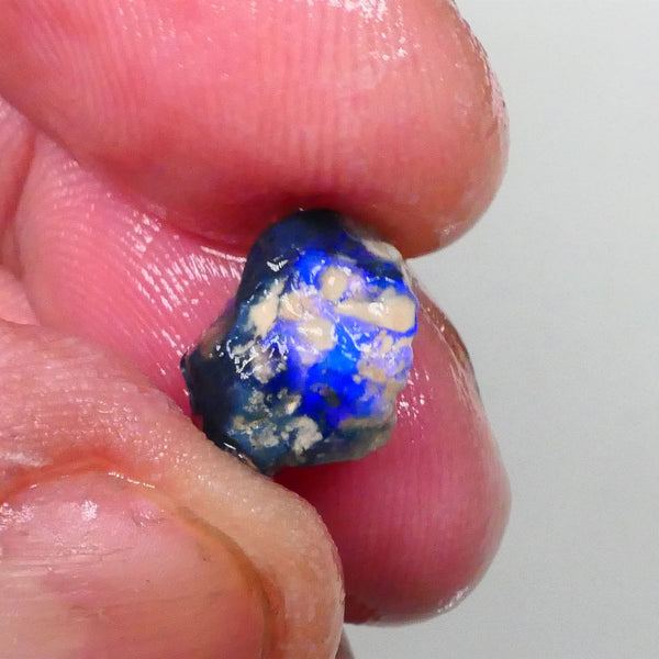 Bright Blues on Black Pea Knobby opal rough 3.60cts Lightning Ridge Material to cut 10x9x8mm  Lot B4-A744