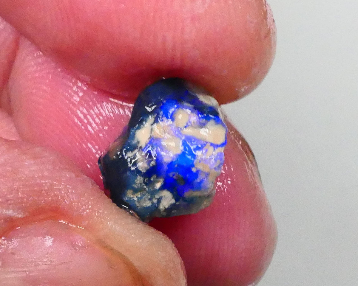 Bright Blues on Black Pea Knobby opal rough 3.60cts Lightning Ridge Material to cut 10x9x8mm  Lot B4-A744