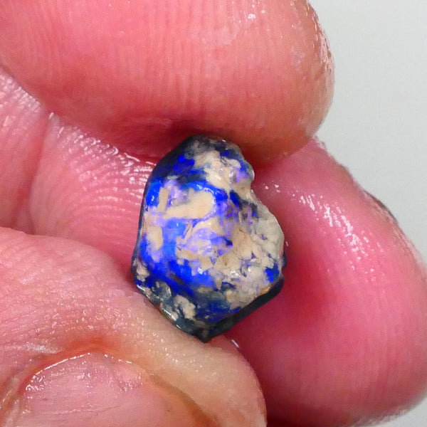 Bright Blues on Black Pea Knobby opal rough 3.60cts Lightning Ridge Material to cut 10x9x8mm  Lot B4-A744