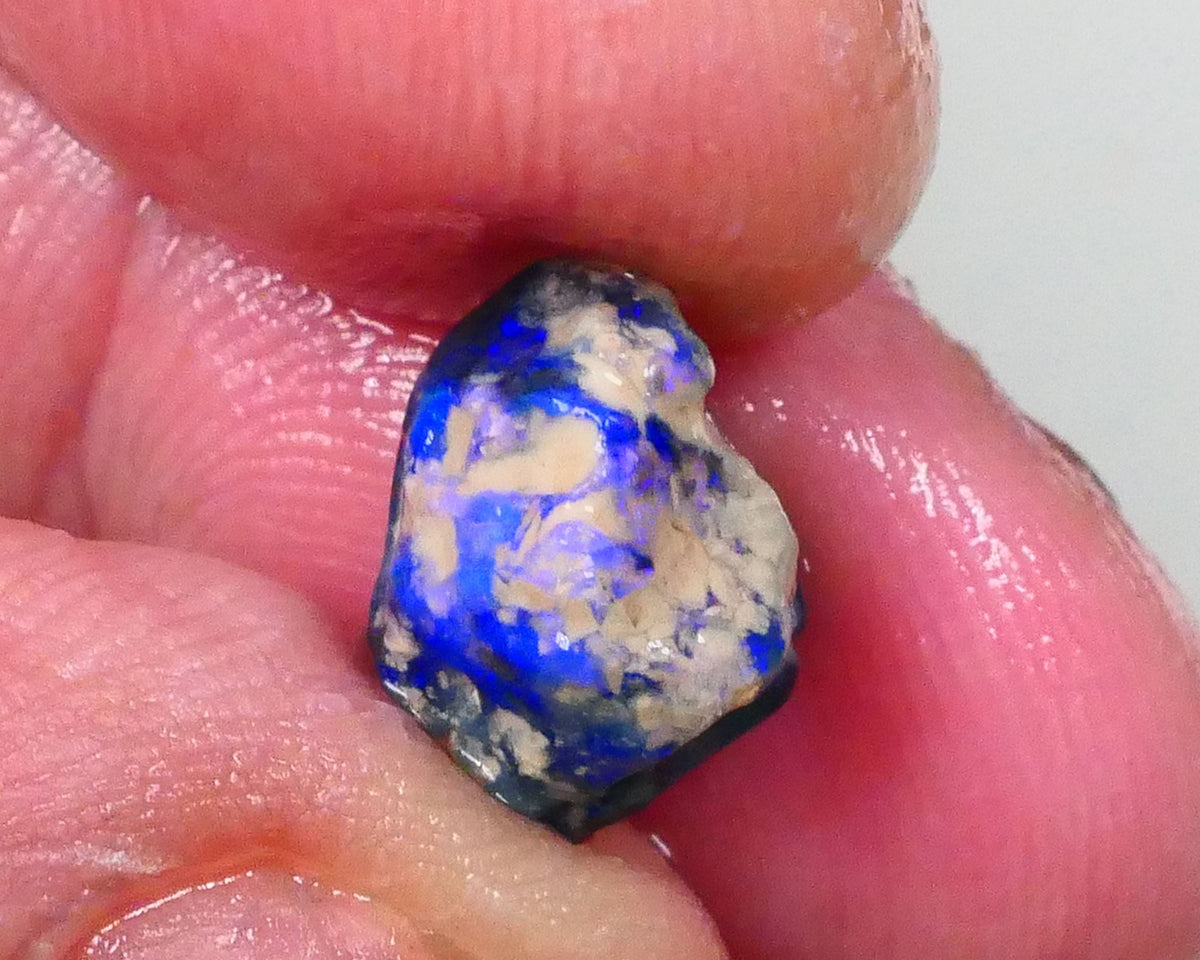 Bright Blues on Black Pea Knobby opal rough 3.60cts Lightning Ridge Material to cut 10x9x8mm  Lot B4-A744