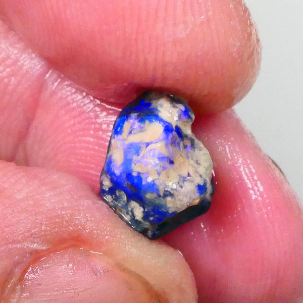 Bright Blues on Black Pea Knobby opal rough 3.60cts Lightning Ridge Material to cut 10x9x8mm  Lot B4-A744