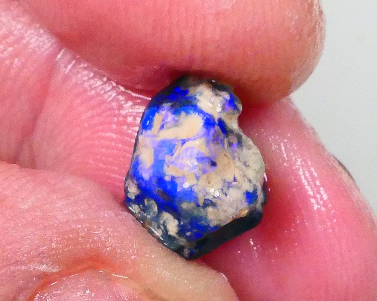 Bright Blues on Black Pea Knobby opal rough 3.60cts Lightning Ridge Material to cut 10x9x8mm  Lot B4-A744