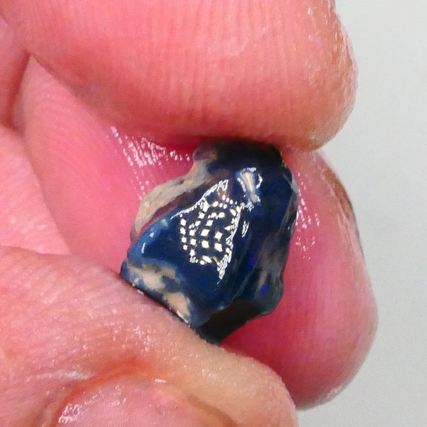 Bright Blues on Black Pea Knobby opal rough 3.60cts Lightning Ridge Material to cut 10x9x8mm  Lot B4-A744
