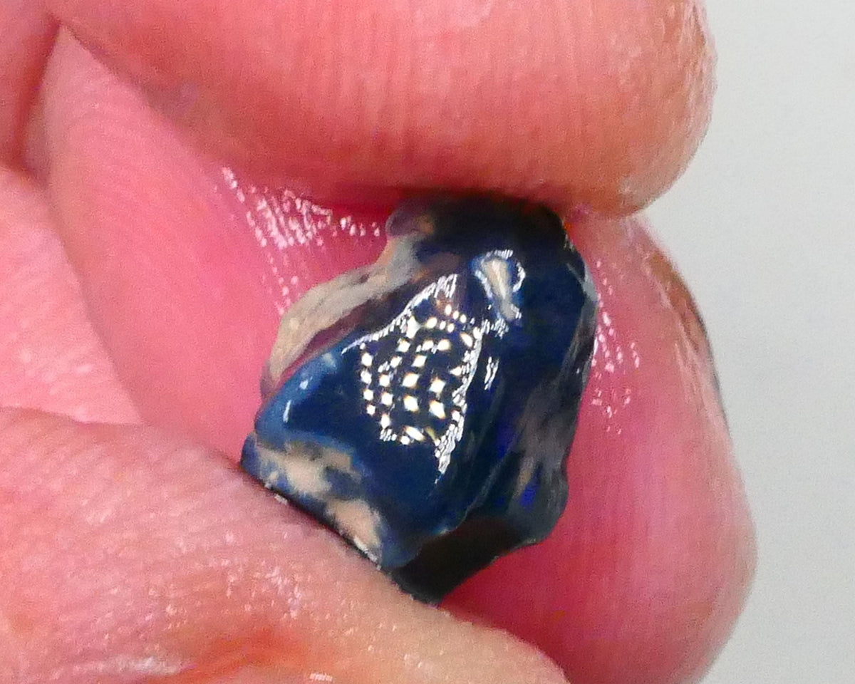 Bright Blues on Black Pea Knobby opal rough 3.60cts Lightning Ridge Material to cut 10x9x8mm  Lot B4-A744