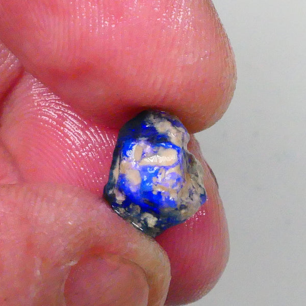 Bright Blues on Black Pea Knobby opal rough 3.60cts Lightning Ridge Material to cut 10x9x8mm  Lot B4-A744