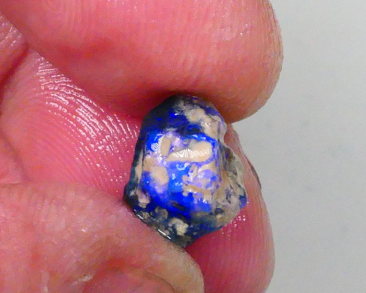 Bright Blues on Black Pea Knobby opal rough 3.60cts Lightning Ridge Material to cut 10x9x8mm  Lot B4-A744