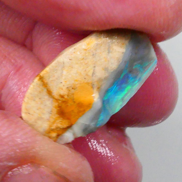 Gorgeous Green Hues in this stunning bar to cut 13.15cts Lightning Ridge Knobby opal rough half 21x12x11mm  Lot B4-A743