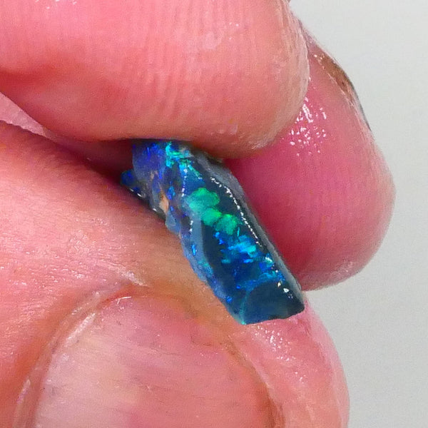 Lightning Ridge Black knobby opal rough half 3.75cts Bright Green Blue fires to exposed parts of bar to gamble 19x9x4mm  Lot B4-A741