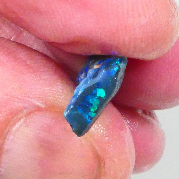 Lightning Ridge Black knobby opal rough half 3.75cts Bright Green Blue fires to exposed parts of bar to gamble 19x9x4mm  Lot B4-A741