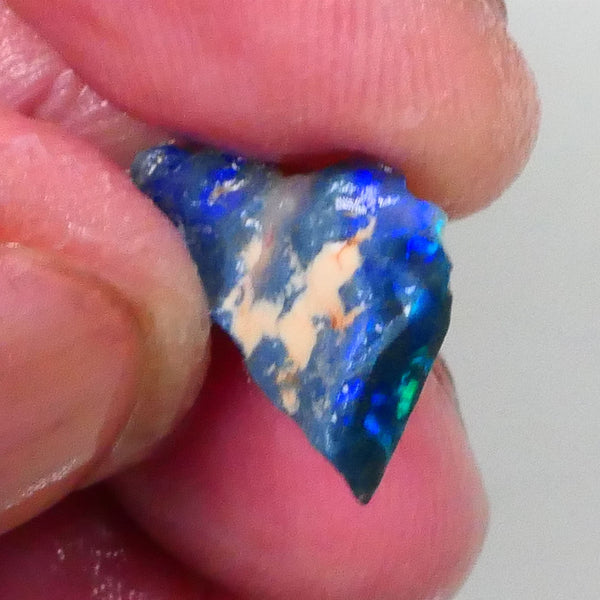 Lightning Ridge Black knobby opal rough half 3.75cts Bright Green Blue fires to exposed parts of bar to gamble 19x9x4mm  Lot B4-A741