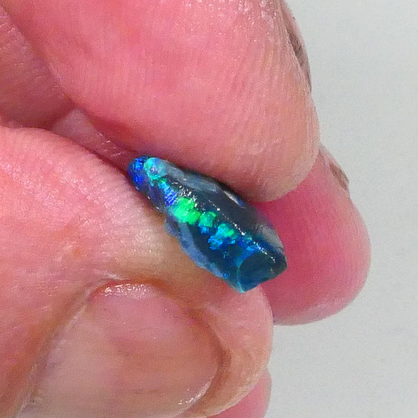Lightning Ridge Black knobby opal rough half 3.75cts Bright Green Blue fires to exposed parts of bar to gamble 19x9x4mm  Lot B4-A741