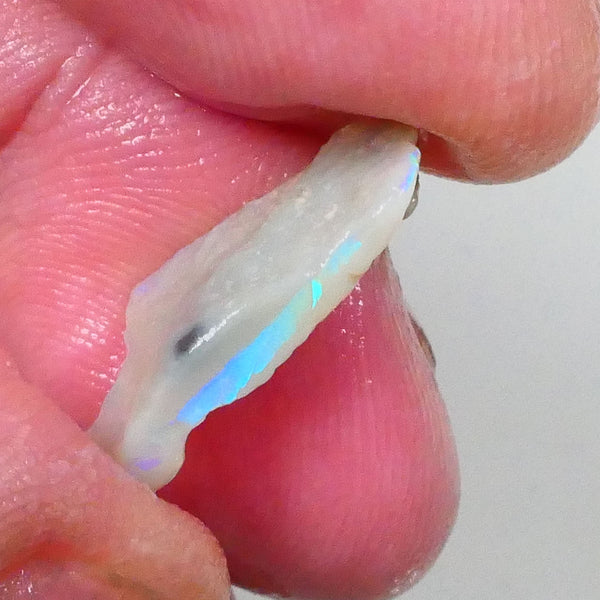 Electric Bright Teal/Aqua marine/Green in flat bar with 360 colour 2.75cts Lightning Ridge rough to cut 21x10x4mm  Lot B4-A740