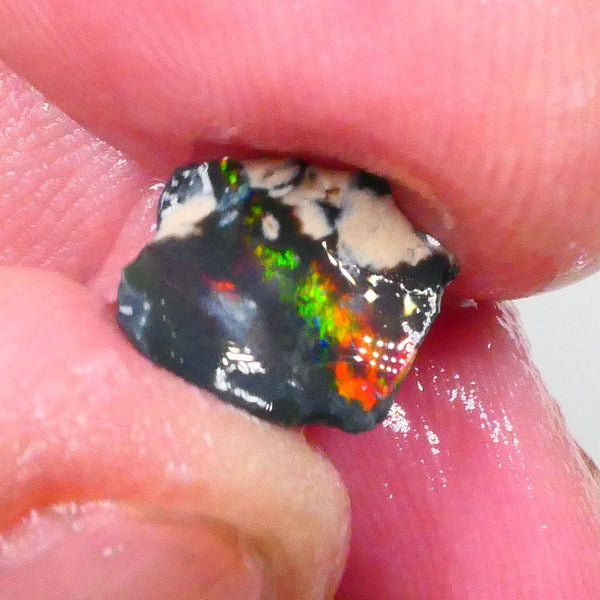 Red on Black baby :) Lightning Ridge rub/rough 1.10cts Bright Electric Multifires note its 11x9x2mm   Lot B4-A739