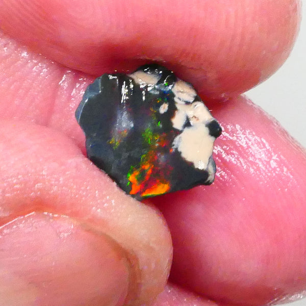 Red on Black baby :) Lightning Ridge rub/rough 1.10cts Bright Electric Multifires note its 11x9x2mm   Lot B4-A739