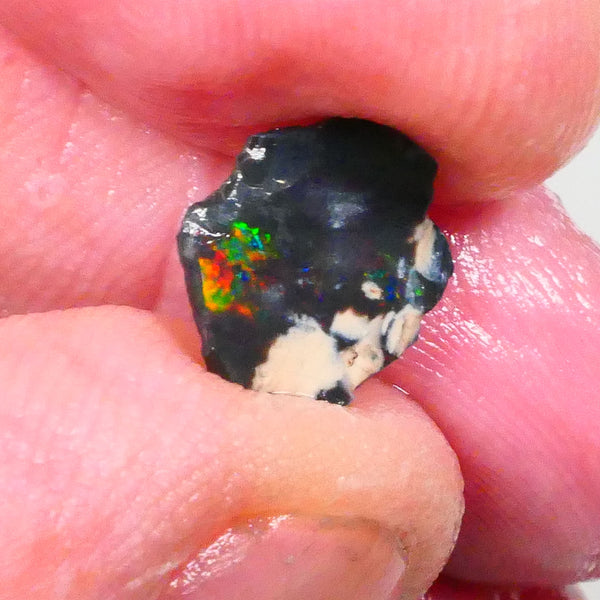 Red on Black baby :) Lightning Ridge rub/rough 1.10cts Bright Electric Multifires note its 11x9x2mm   Lot B4-A739