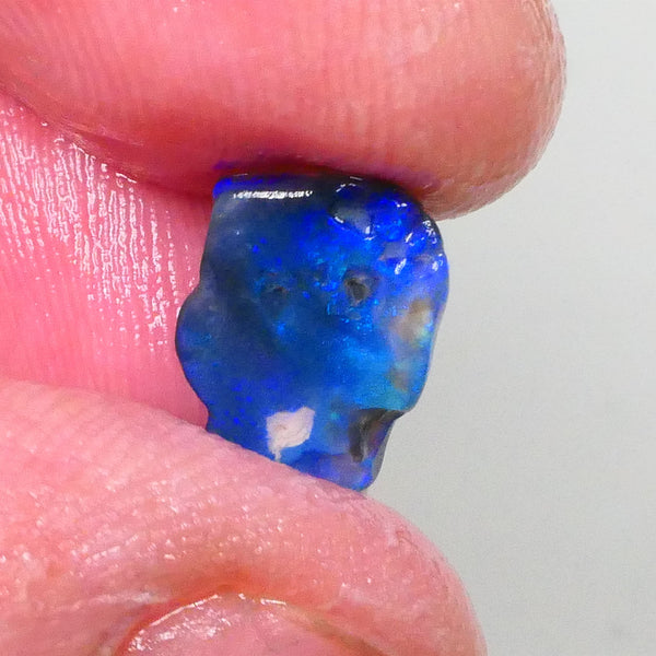 Gorgeous Bright Royal Blues & some Greens in the bar on this Black Crystal opal rough 2.10cts Lightning Ridge material to cut note the small size 12x8x3mm Lot B4-A738