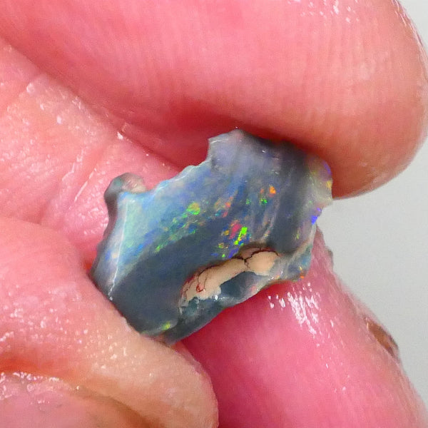 Reds & Multifires to exposed face Small bit of Bling 1.60cts Rub/rough opal of Lighting Ridge dark base to finish & polish 14x9x2mm 14x9x2mm Lot B4-A735