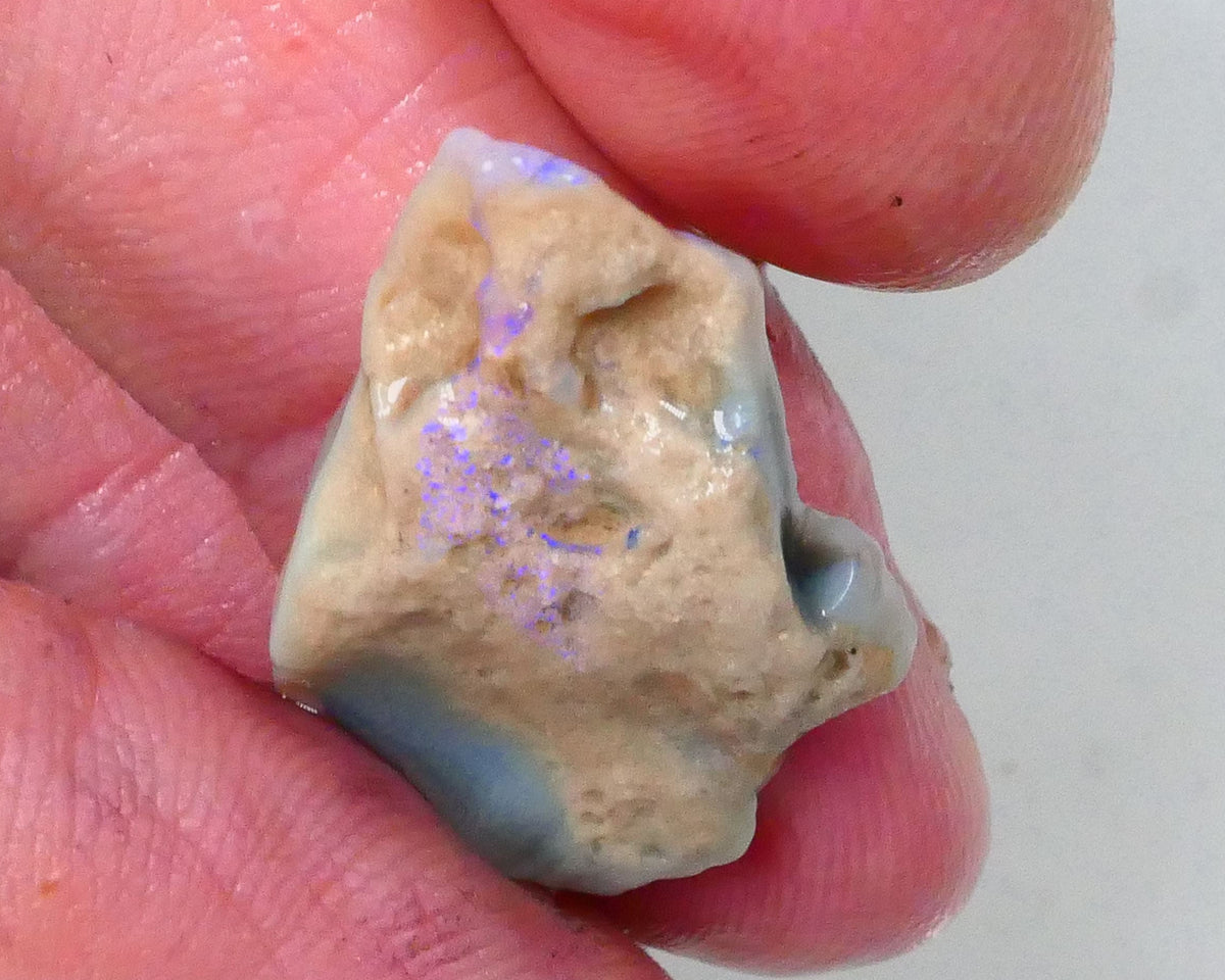 Bid-4.com Bid for Australian opal £1 No Reserve Auctions Details to come Lot B4-A764