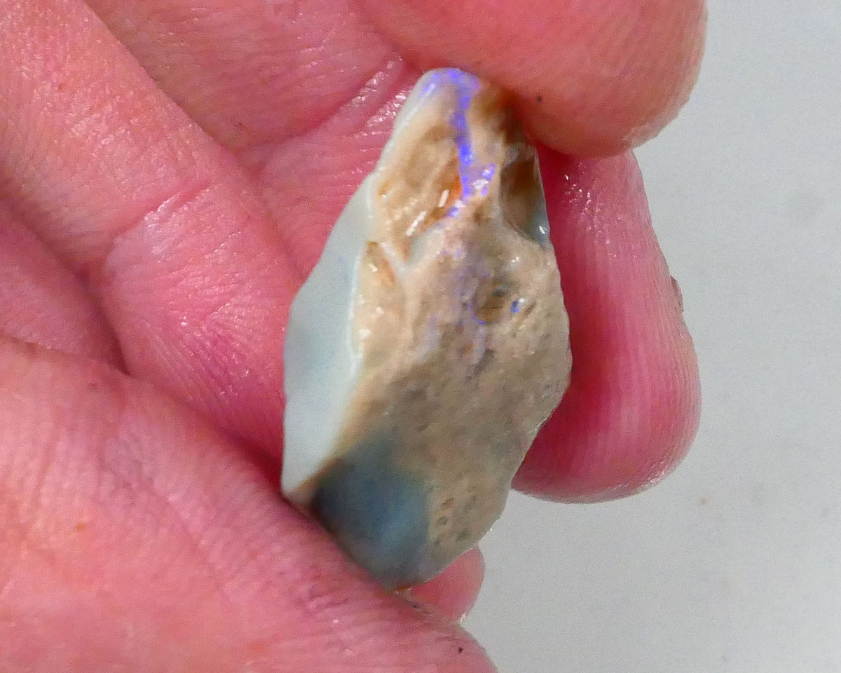 Bid-4.com Bid for Australian opal £1 No Reserve Auctions Details to come Lot B4-A764