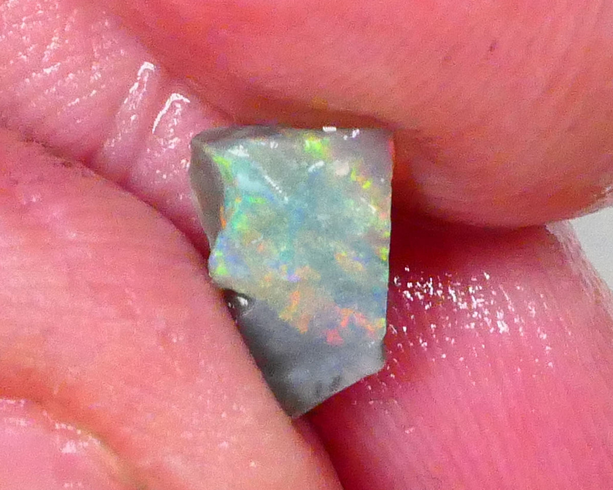 Red & yellows saying expose me now :) 0.70cts Small Lightning Ridge opal rough to cut a stunning pointer 8x5x2.5mm Lot B4-A763