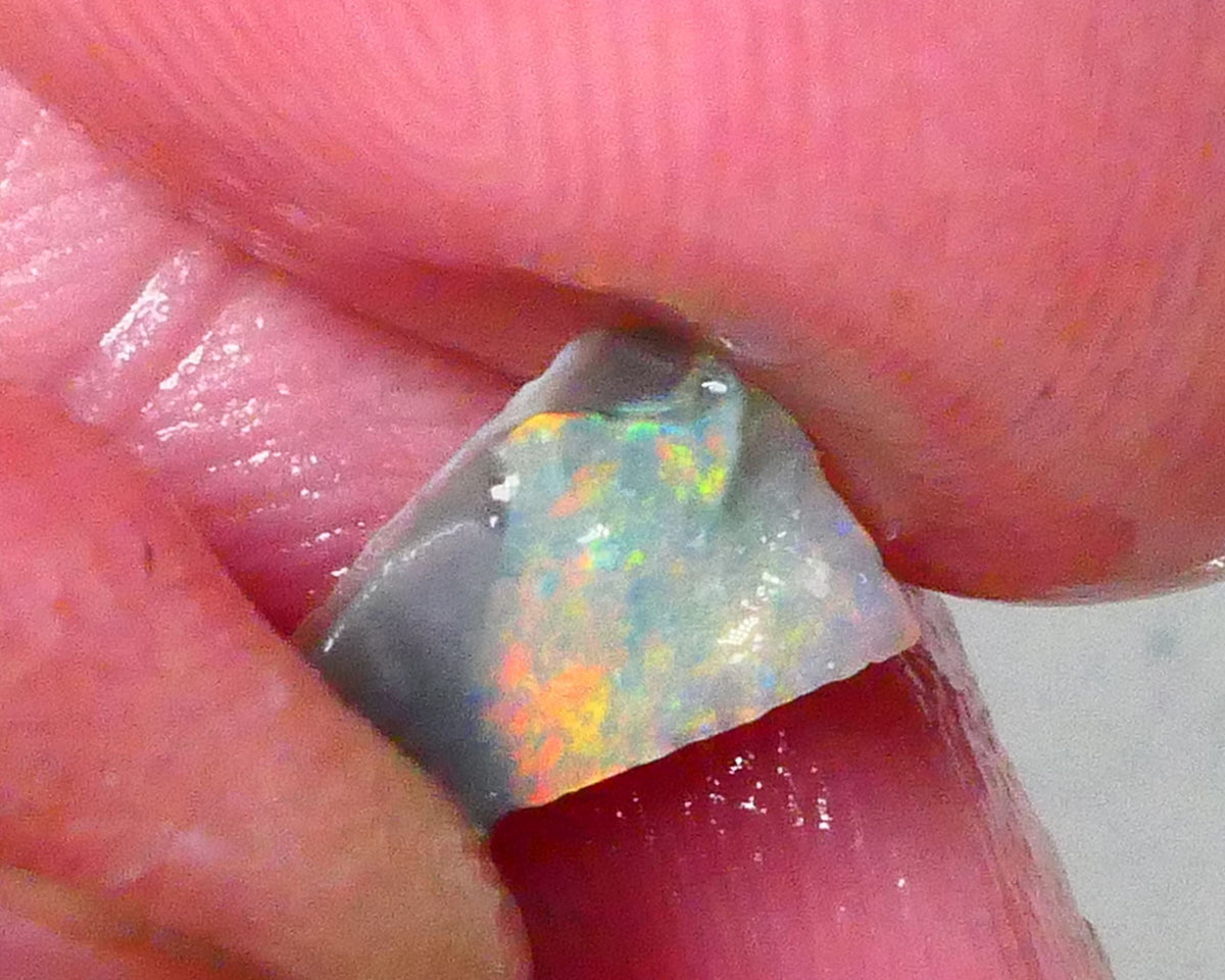 Red & yellows saying expose me now :) 0.70cts Small Lightning Ridge opal rough to cut a stunning pointer 8x5x2.5mm Lot B4-A763