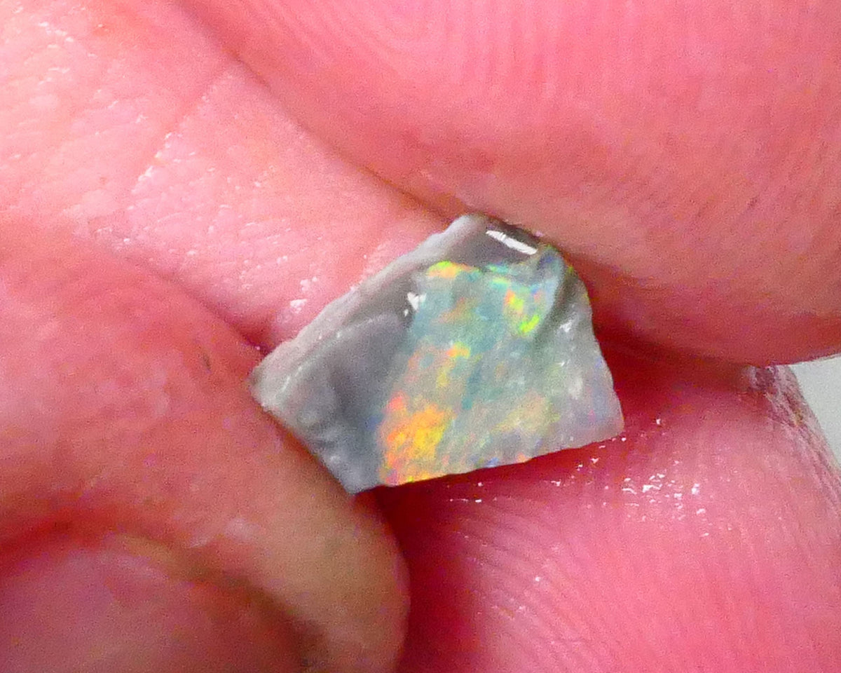 Red & yellows saying expose me now :) 0.70cts Small Lightning Ridge opal rough to cut a stunning pointer 8x5x2.5mm Lot B4-A763